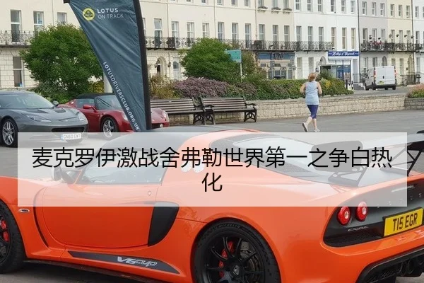 麦克罗伊激战舍弗勒世界第一之争白热化